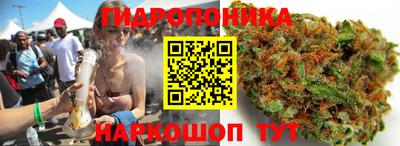 бошки Донецк