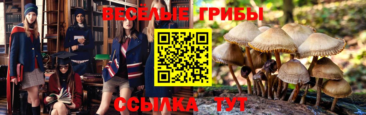 Галлюциногенные грибы прущие грибы  где найти наркотики  Лениногорск  Псилоцибиновые грибы мухоморы  Вход с VPN 